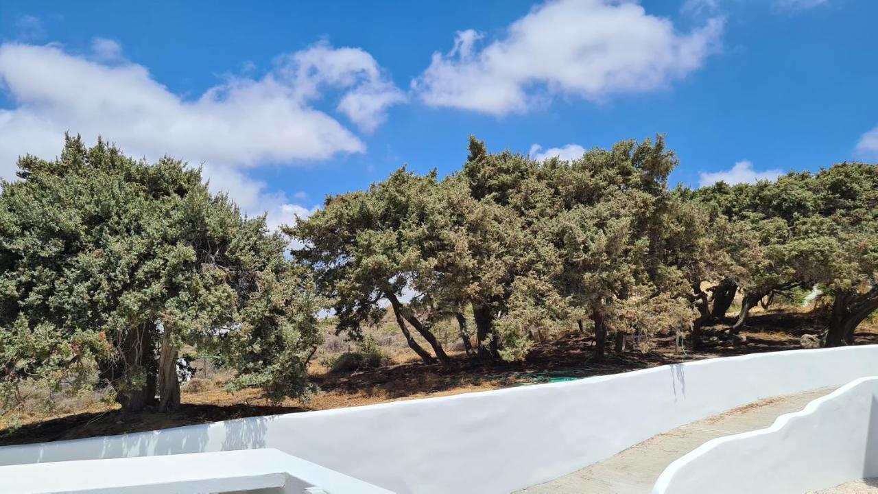 Seanfinity Beachfront Suites Mikri Vigla Eksteriør bilde